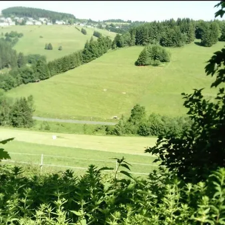 Grosses Landreihenhaus Mit Panoramablick